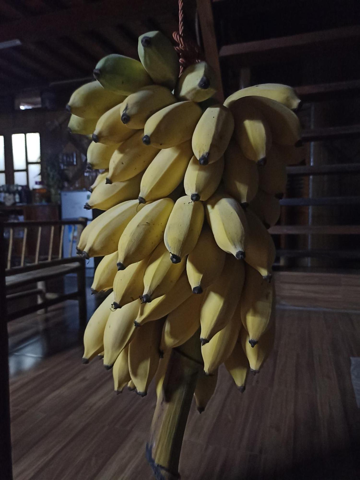 Thao Ly Homestay Mai Chau Hoa Binh Экстерьер фото