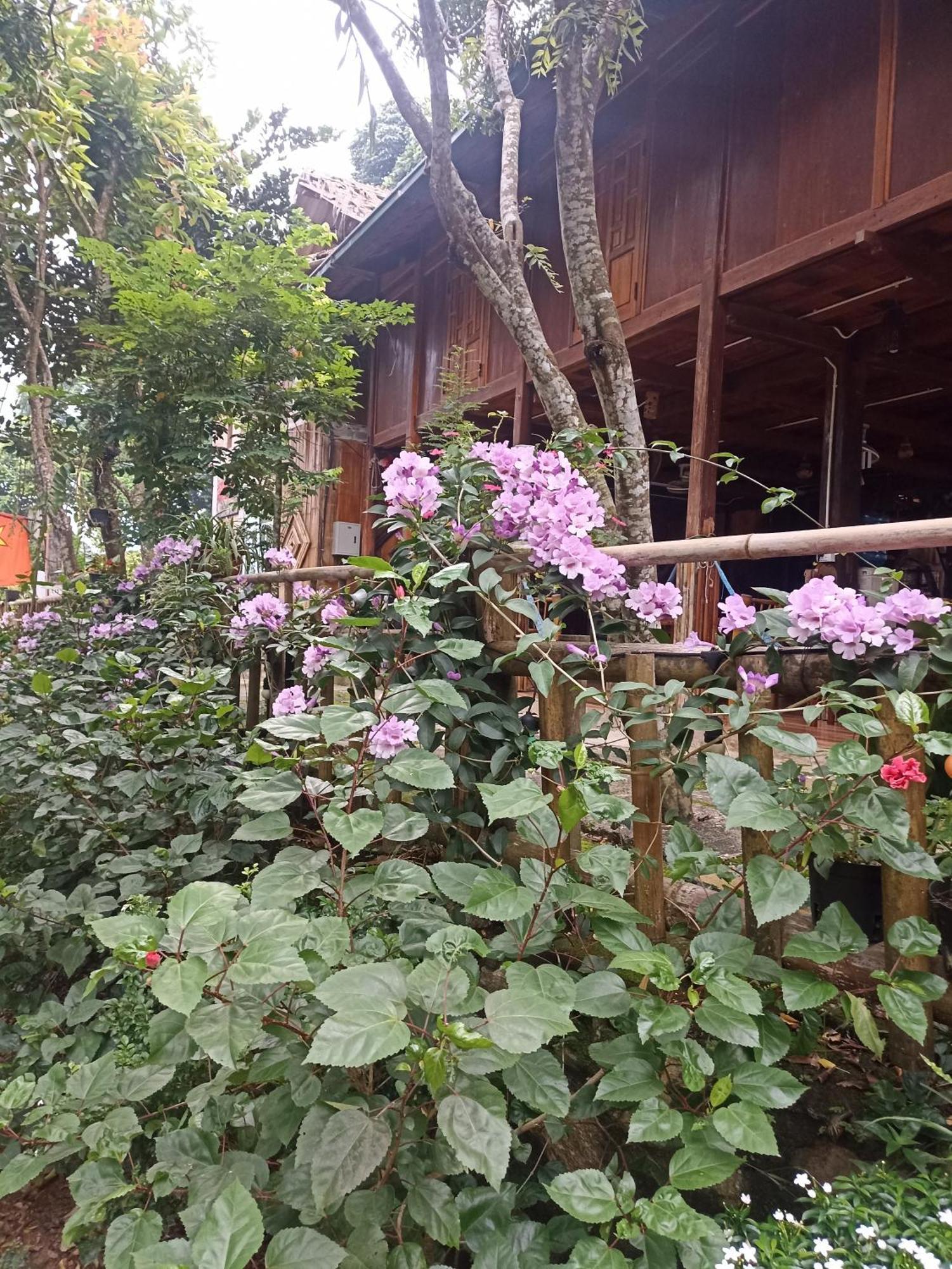 Thao Ly Homestay Mai Chau Hoa Binh Экстерьер фото