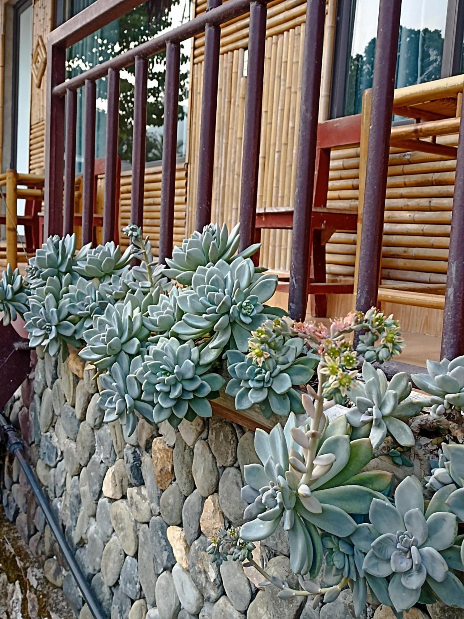Thao Ly Homestay Mai Chau Hoa Binh Экстерьер фото